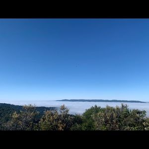 Meet your Posher, Ann